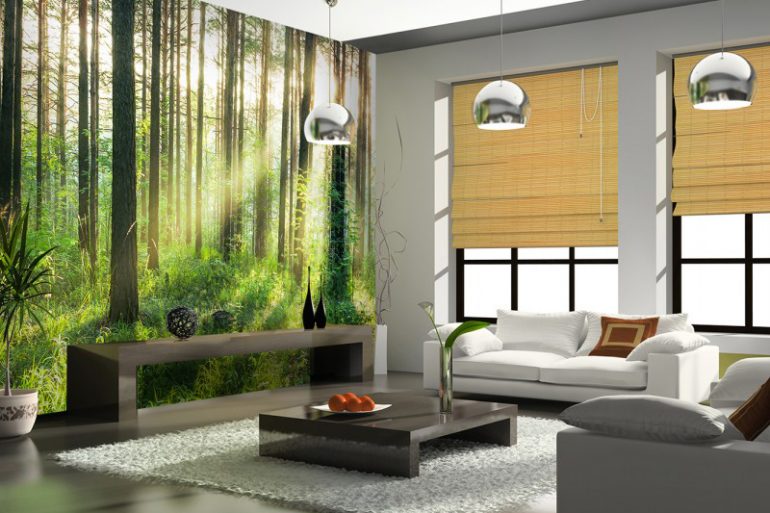 Modele de fototapet cu peisaje din natură