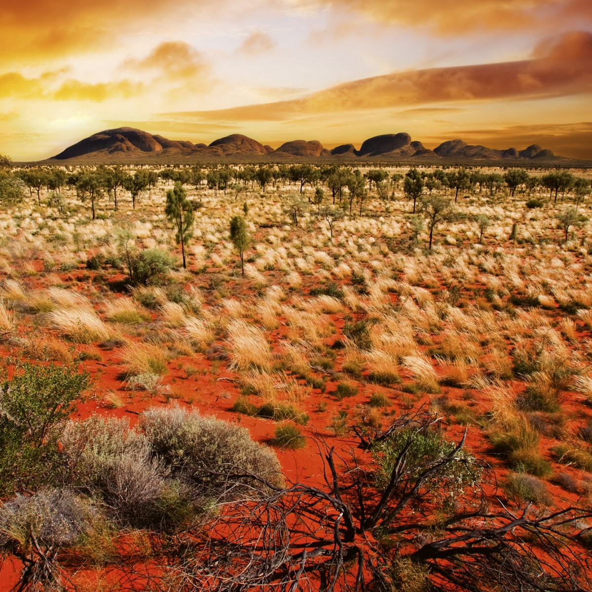 Foto tapet 3D Australian Landscape, Dimex, 5 fâșii, 375 x 250cm