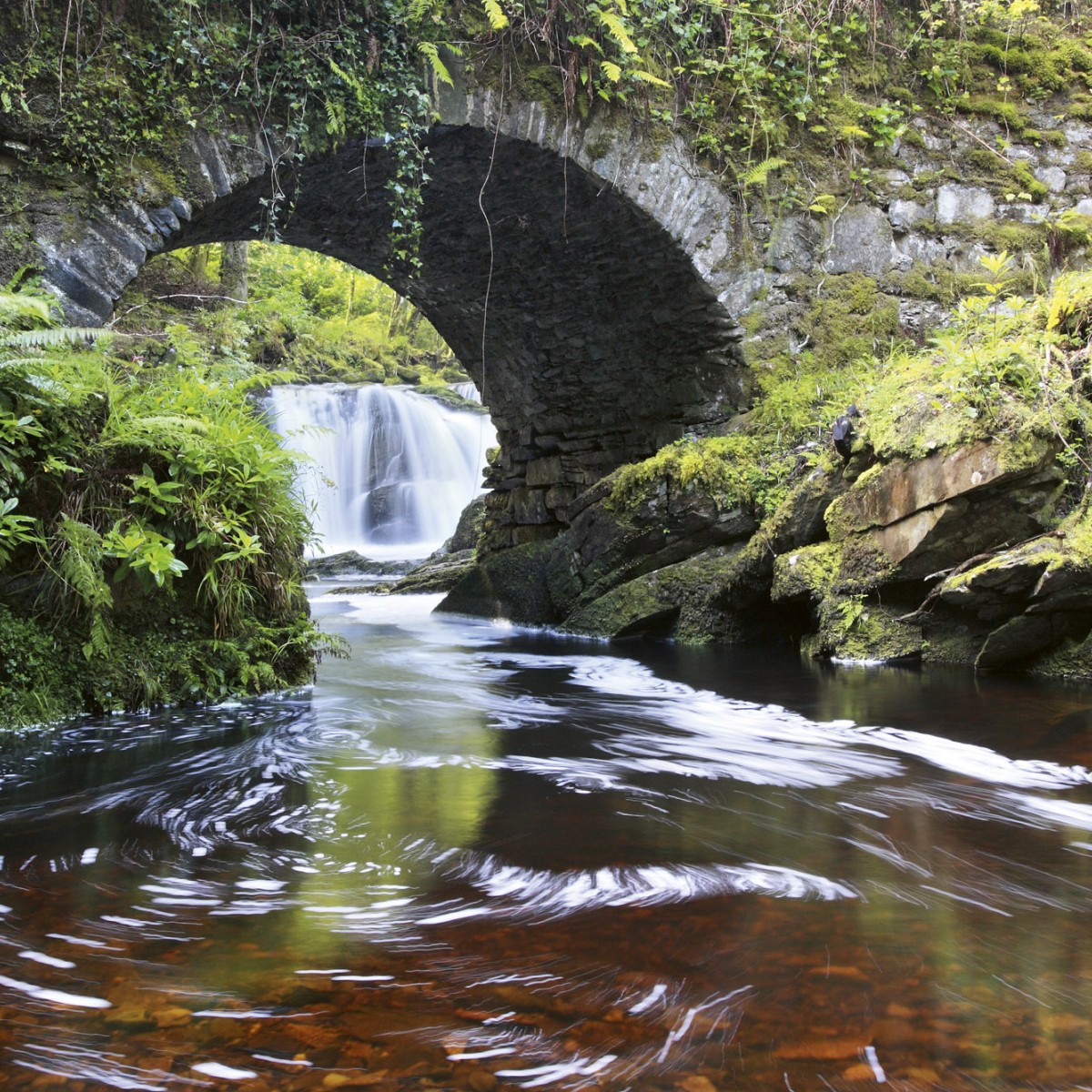 Foto tapet 3D Ireland, Dimex, 5 fâșii, 375 x 250cm