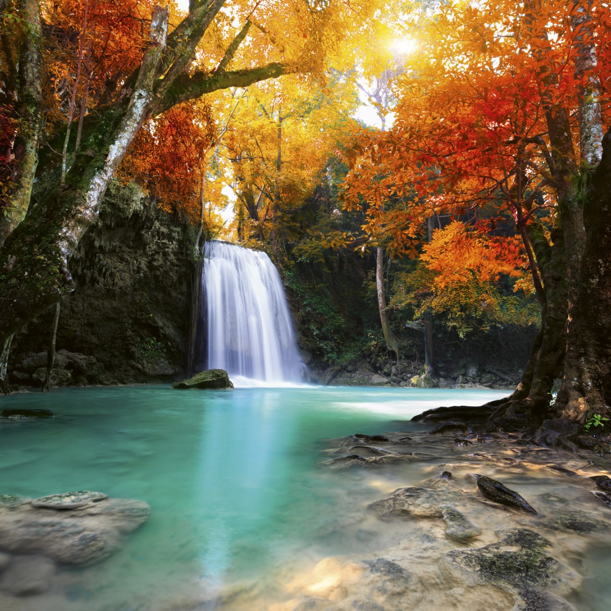 Foto tapet 3D Deep Forest Waterfall, Dimex, 5 fâșii, 375 x 250cm