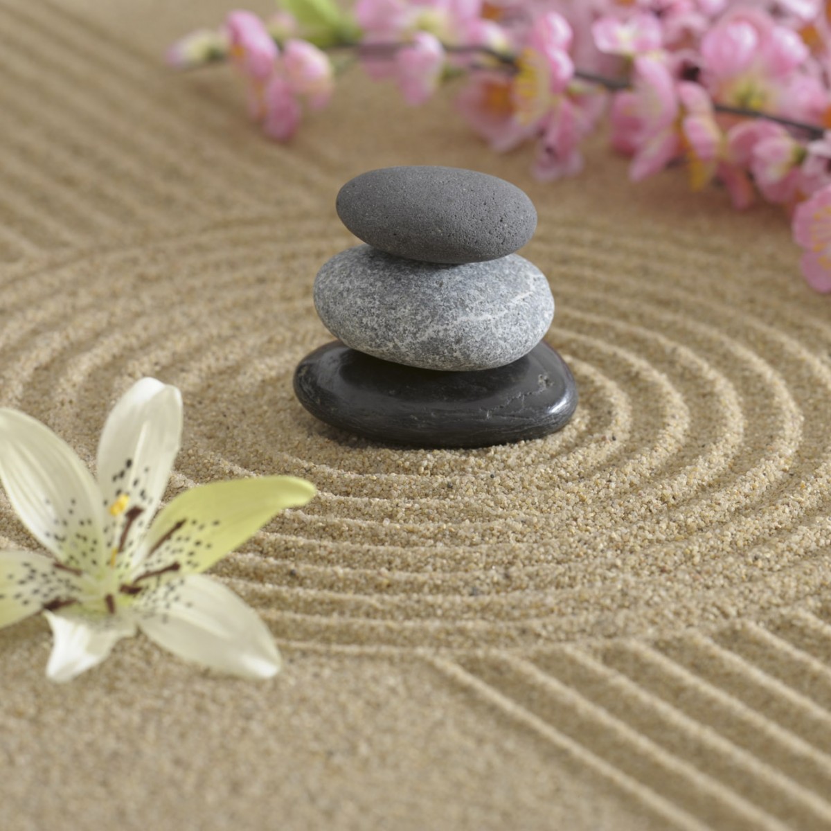 Foto tapet 3D Zen Garden, Dimex, 5 fâșii, 375 x 250cm