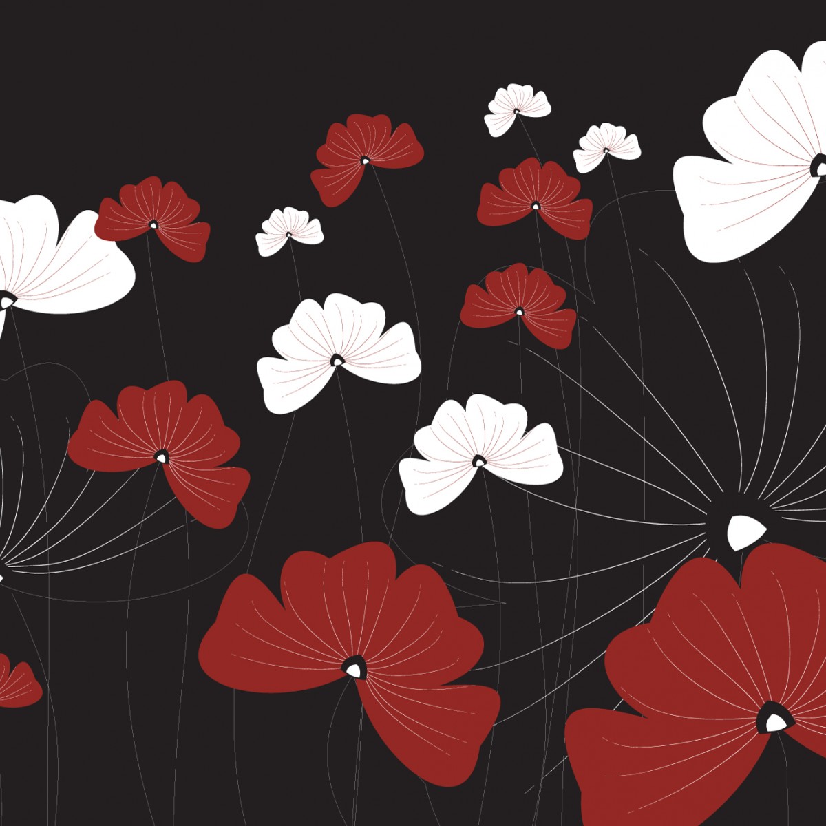 Foto tapet 3D Flowers On Black, Dimex, 5 fâșii, 375 x 250cm
