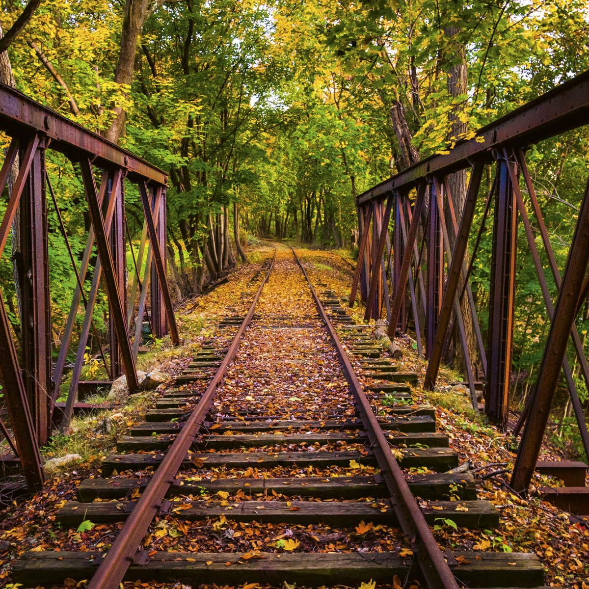 Foto tapet 3D Railroad, Dimex, 5 fâșii, 375 x 250cm