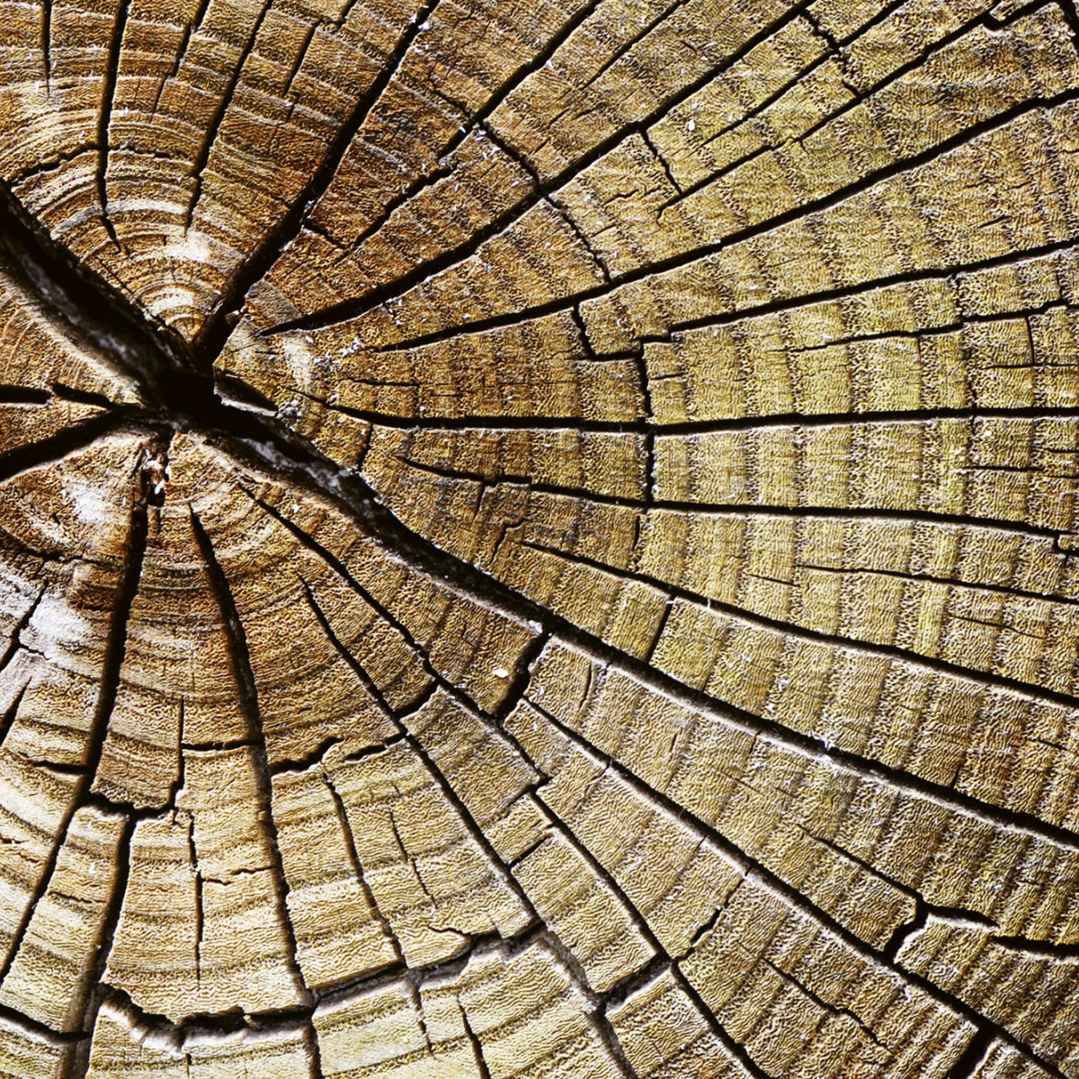 Foto tapet 3D Wood, Dimex, 5 fâșii, 375 x 250cm