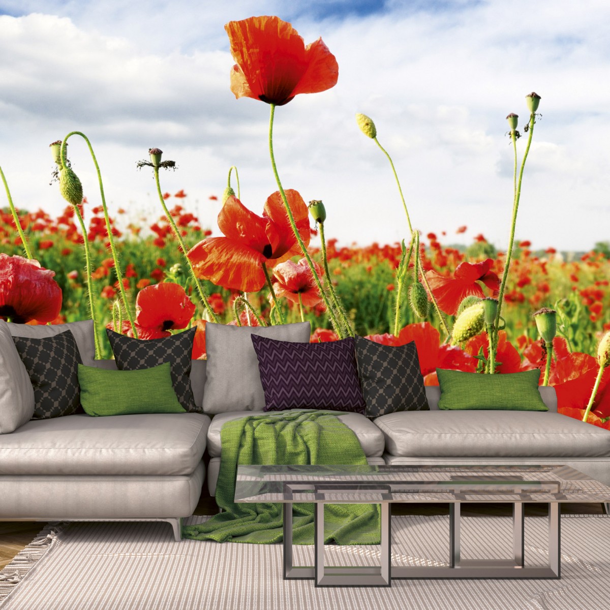 Foto tapet 3D Red Poppies, Dimex, 5 fâșii, 375 x 250cm