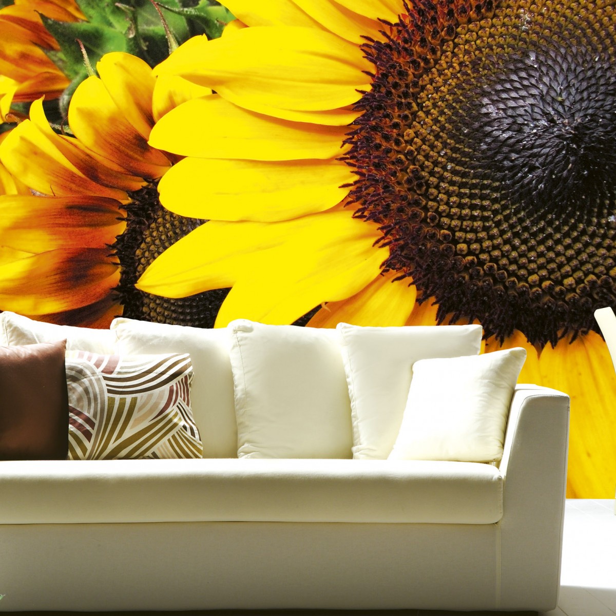Foto tapet 3D Sunflowers, Dimex, 5 fâșii, 375 x 250cm