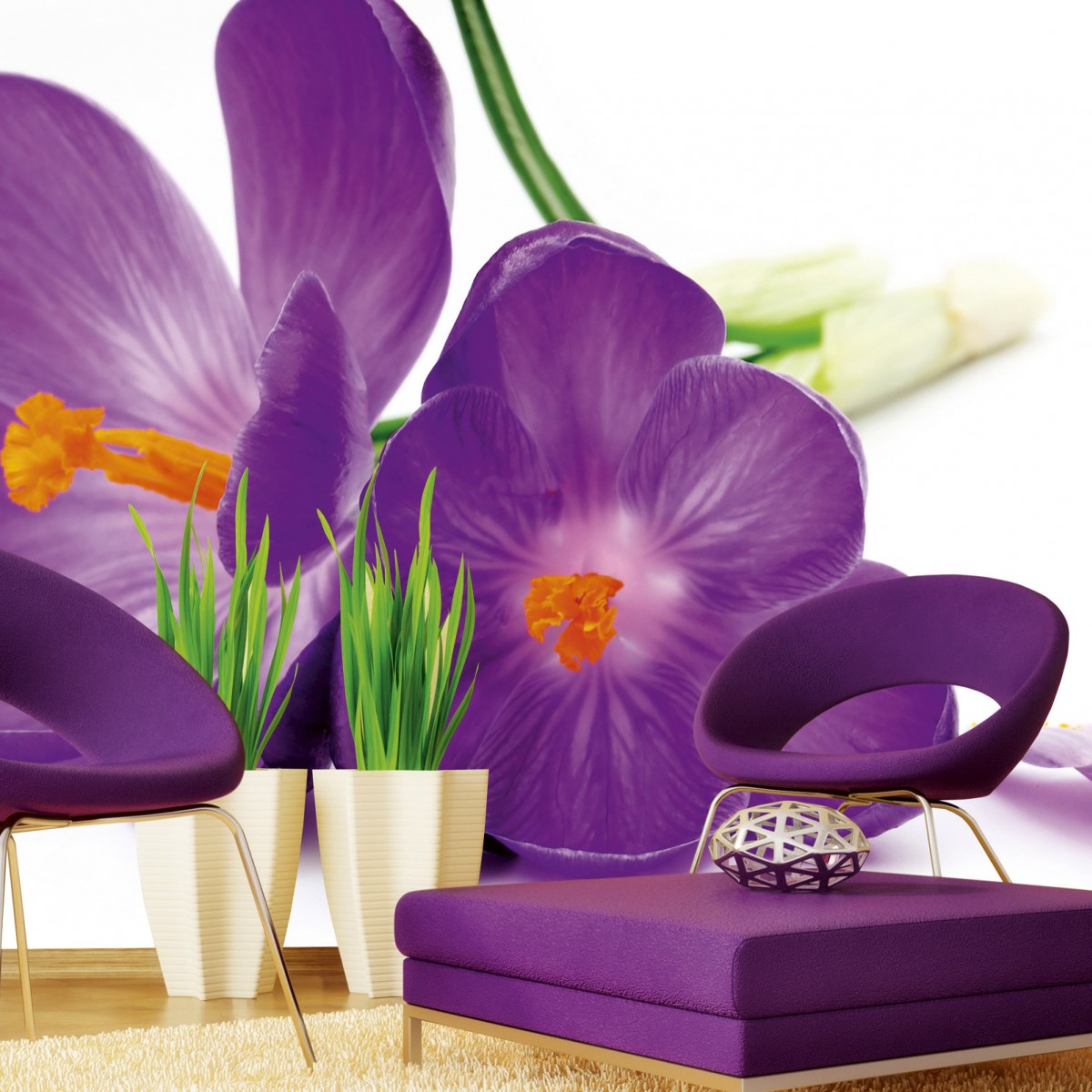 Foto tapet 3D Crocus, Dimex, 5 fâșii, 375 x 250cm