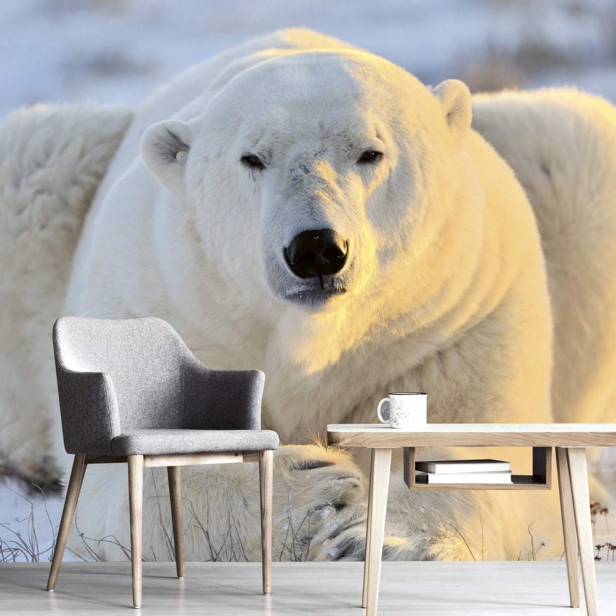 Foto tapet 3D Bear, Dimex, 5 fâșii, 375 x 250cm