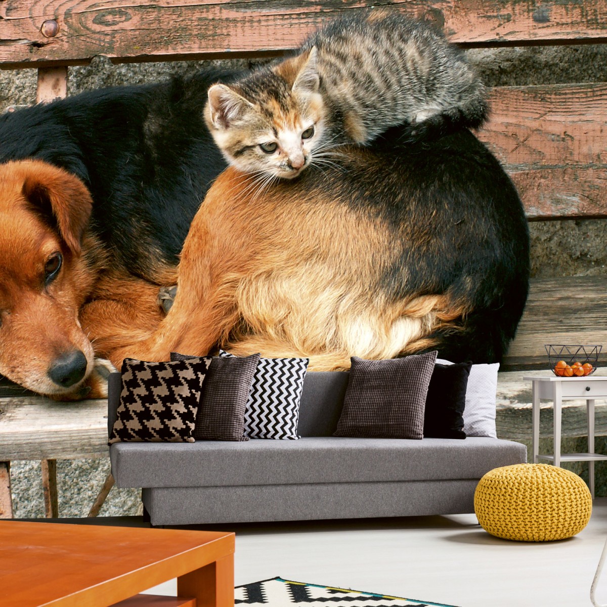 Foto tapet 3D Cat And Dog, Dimex, 5 fâșii, 375 x 250cm