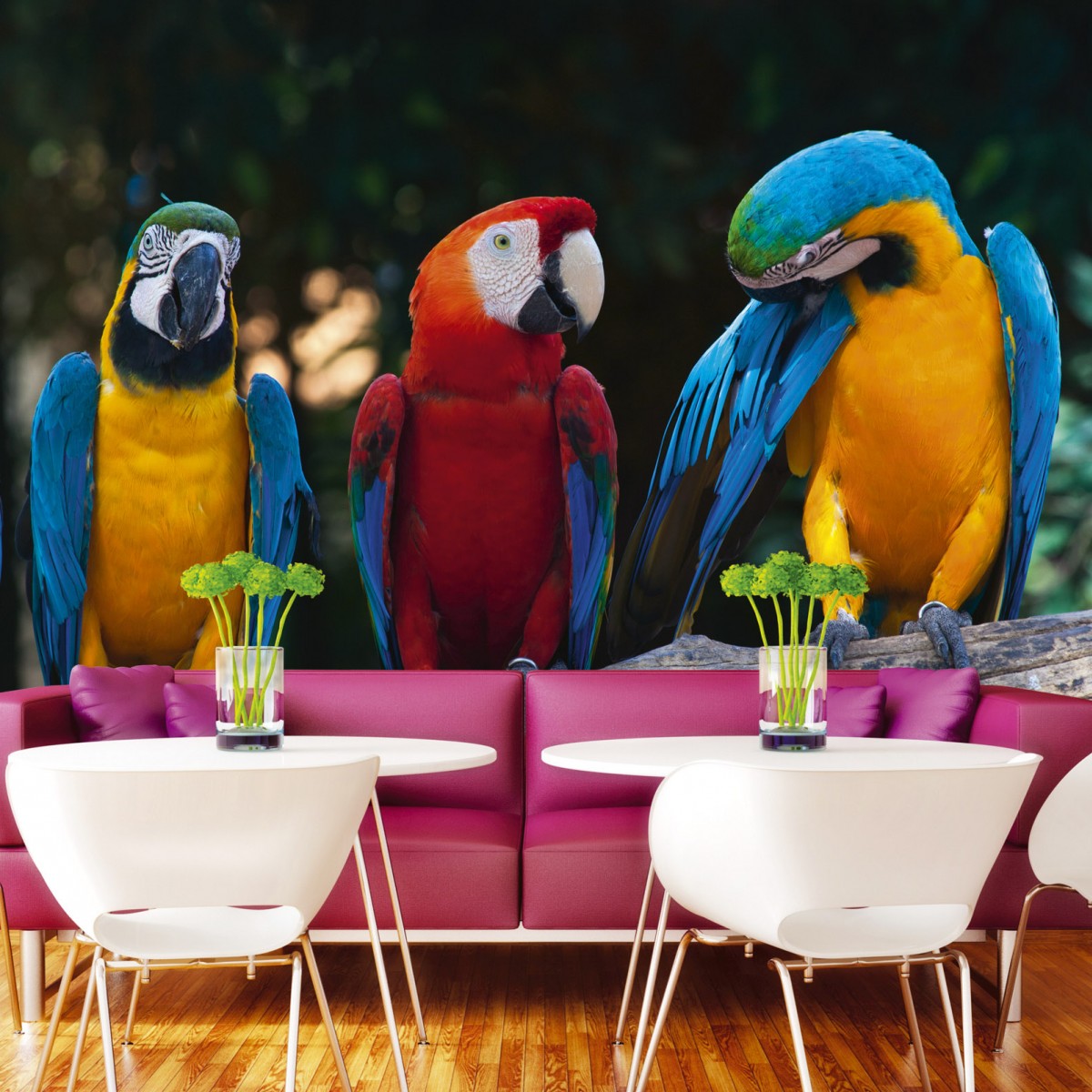 Foto tapet 3D Colourful Macaw, Dimex, 5 fâșii, 375 x 250cm