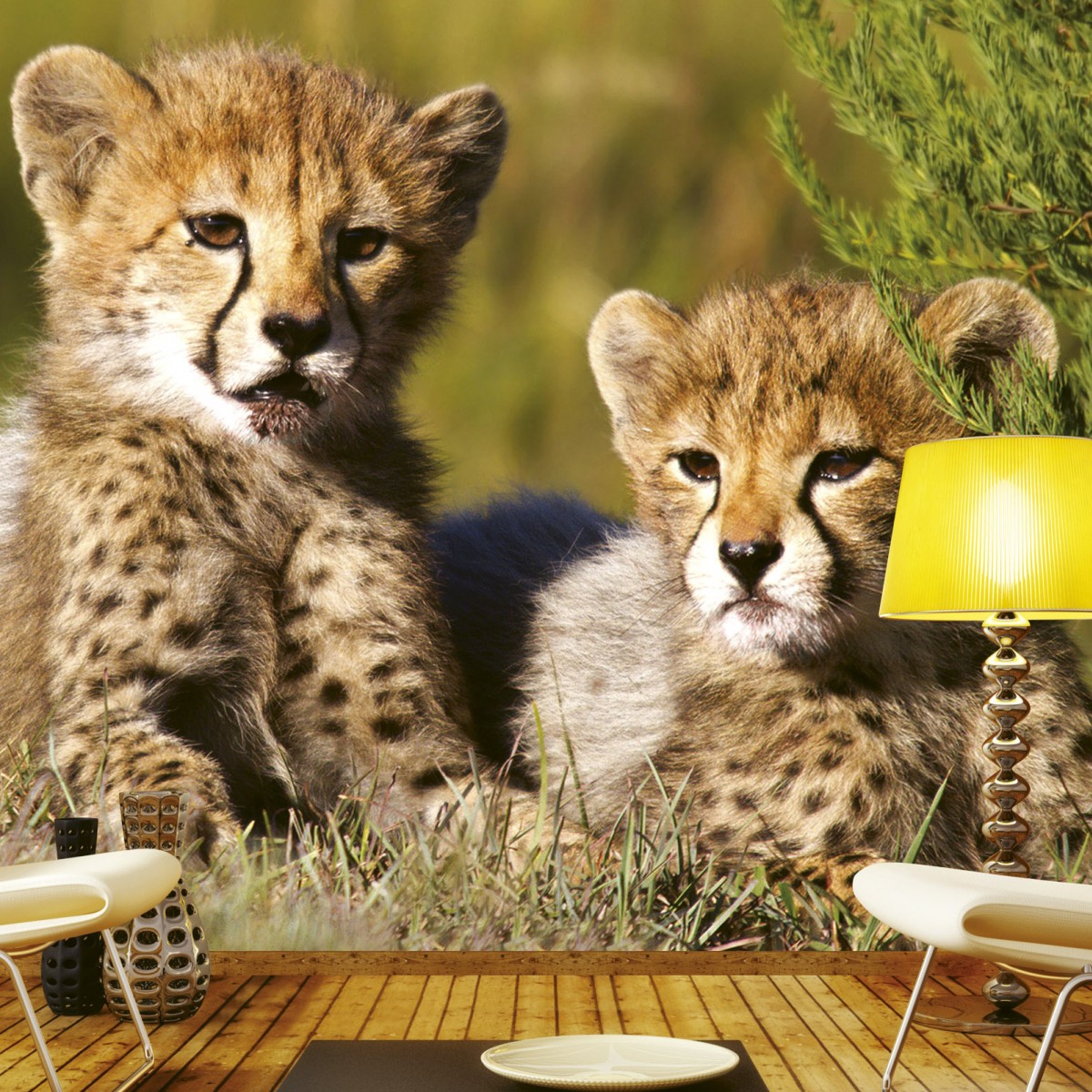 Foto tapet 3D Cheetah, Dimex, 5 fâșii, 375 x 250cm