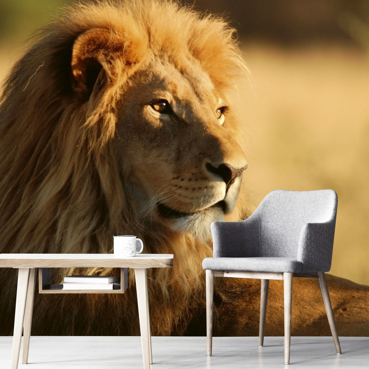 Foto tapet 3D Lion, Dimex, 5 fâșii, 375 x 250cm