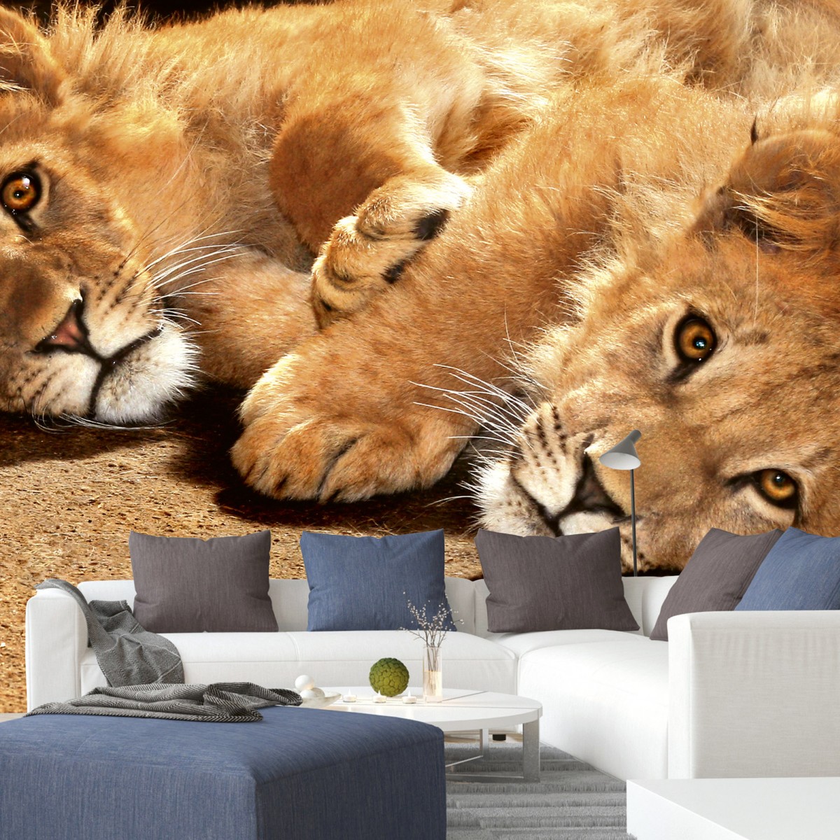 Foto tapet 3D Young Lions, Dimex, 5 fâșii, 375 x 250cm