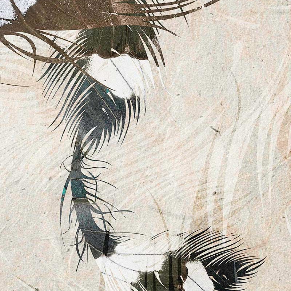 Fototapet contemporan Butterfly Effect, personalizat, Idea Murale,
