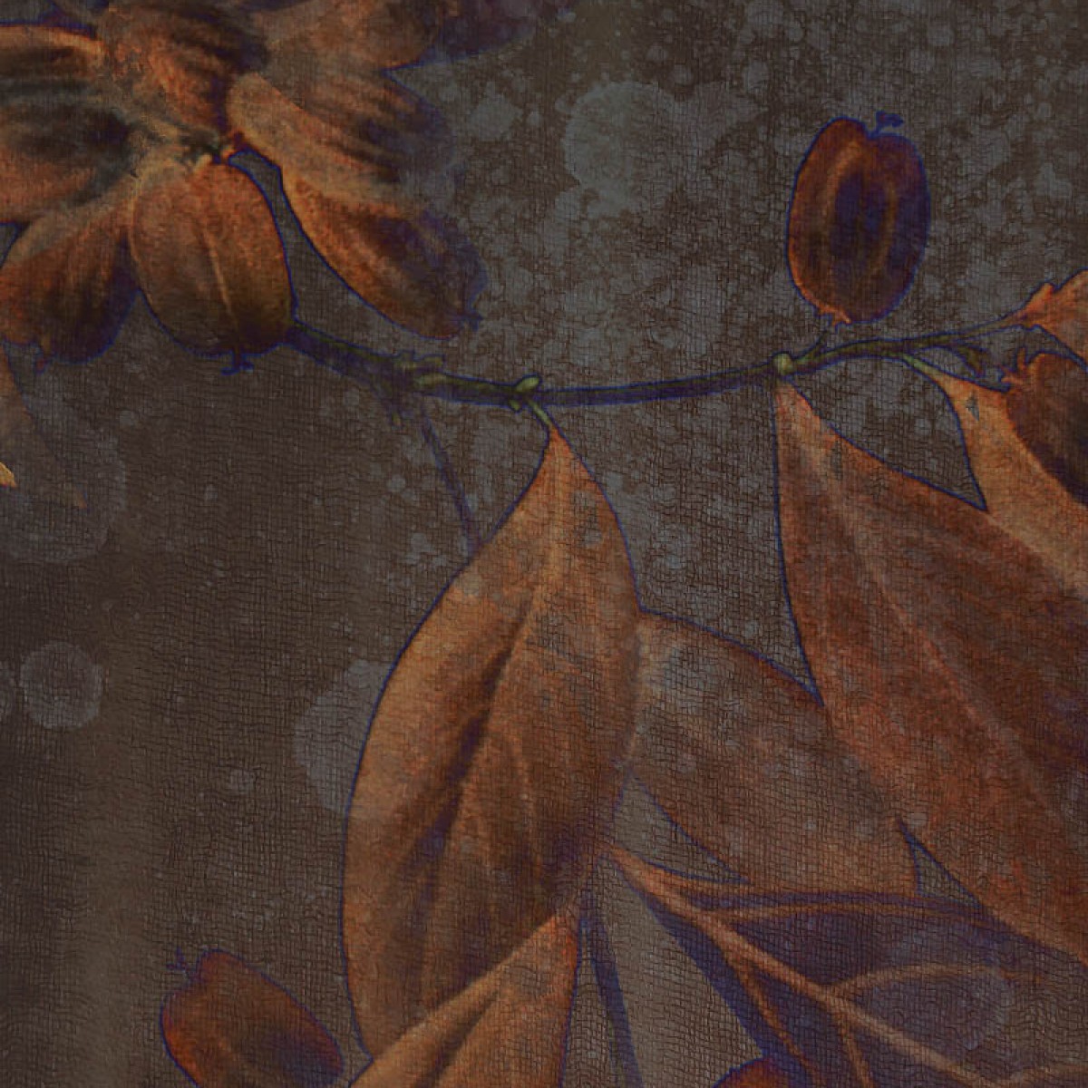 Fototapet contemporan Elysian Nights, personalizat, idea murale