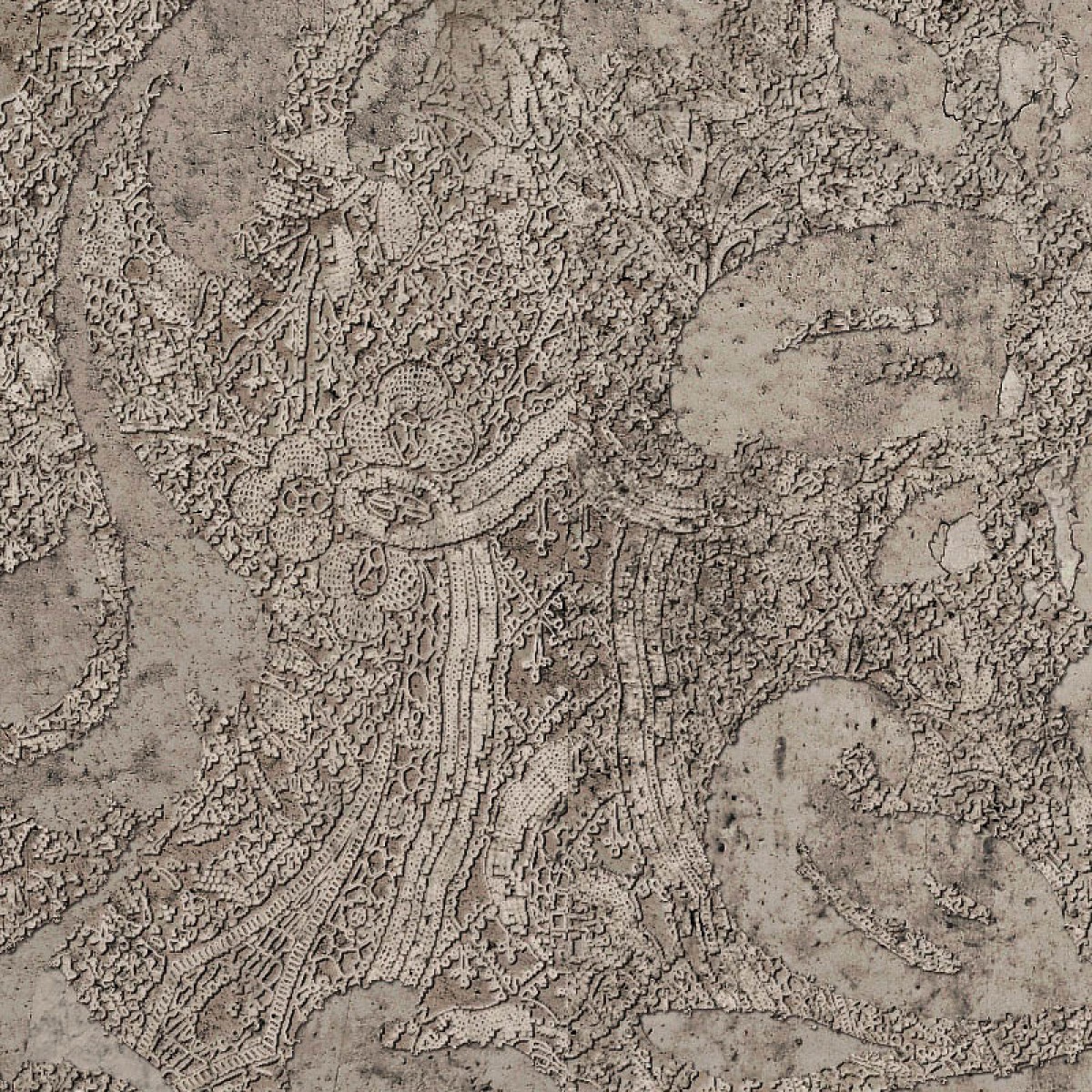 Fototapet contemporan Stone Lace, personalizat, idea murale