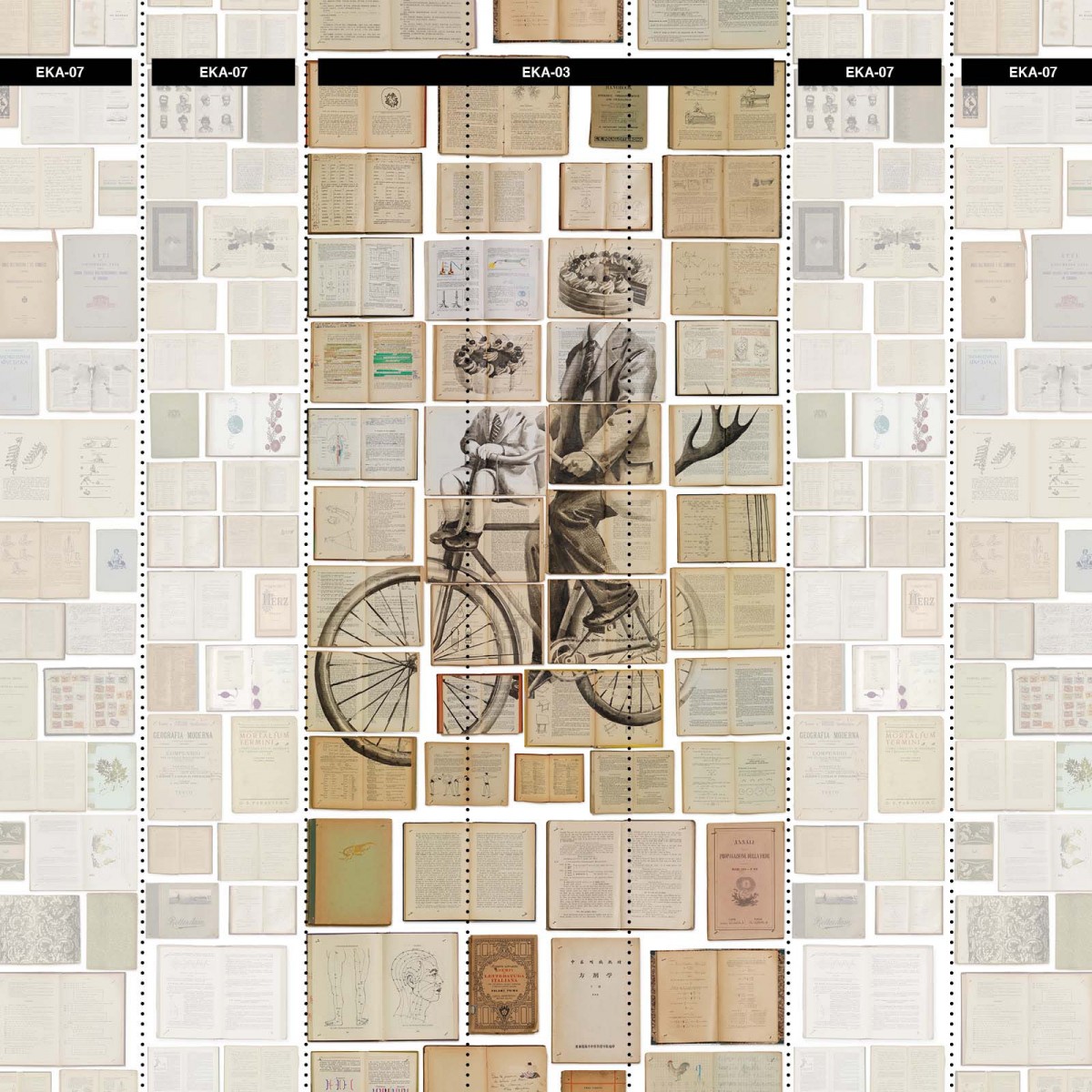 Tapet designer Biblioteca Man on Bicycle by Ekaterina Panikanova, NLXL, 4.8mp / model, Tapet Exclusivist 
