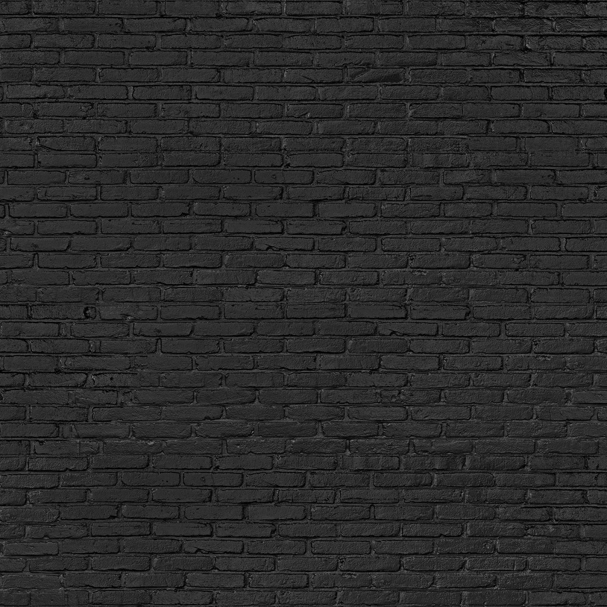 Tapet designer Materials Brick, Black by Piet Hein Eek, NLXL, 4.9mp / rola, Tapet Exclusivist 