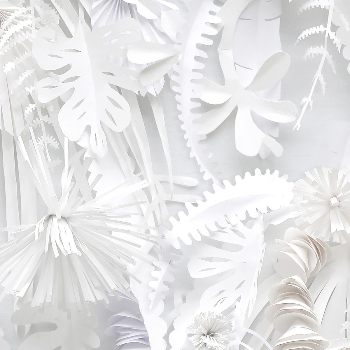 Tapet designer Paper Flowers by Studio Boot, NLXL, 4.9mp / rola, Tapet Exclusivist 