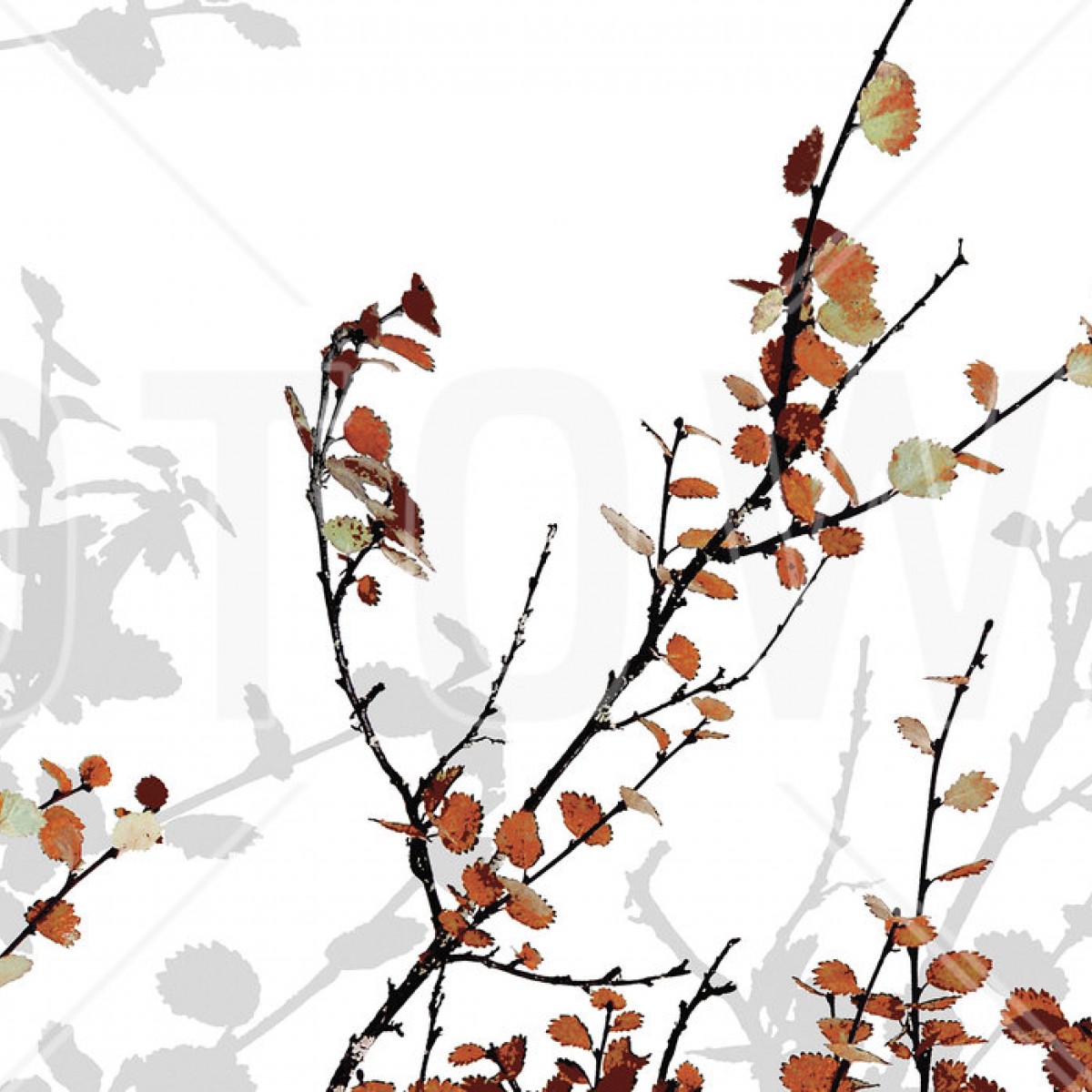 Fototapet Mountain Birch Orange, personalizat, Photowall