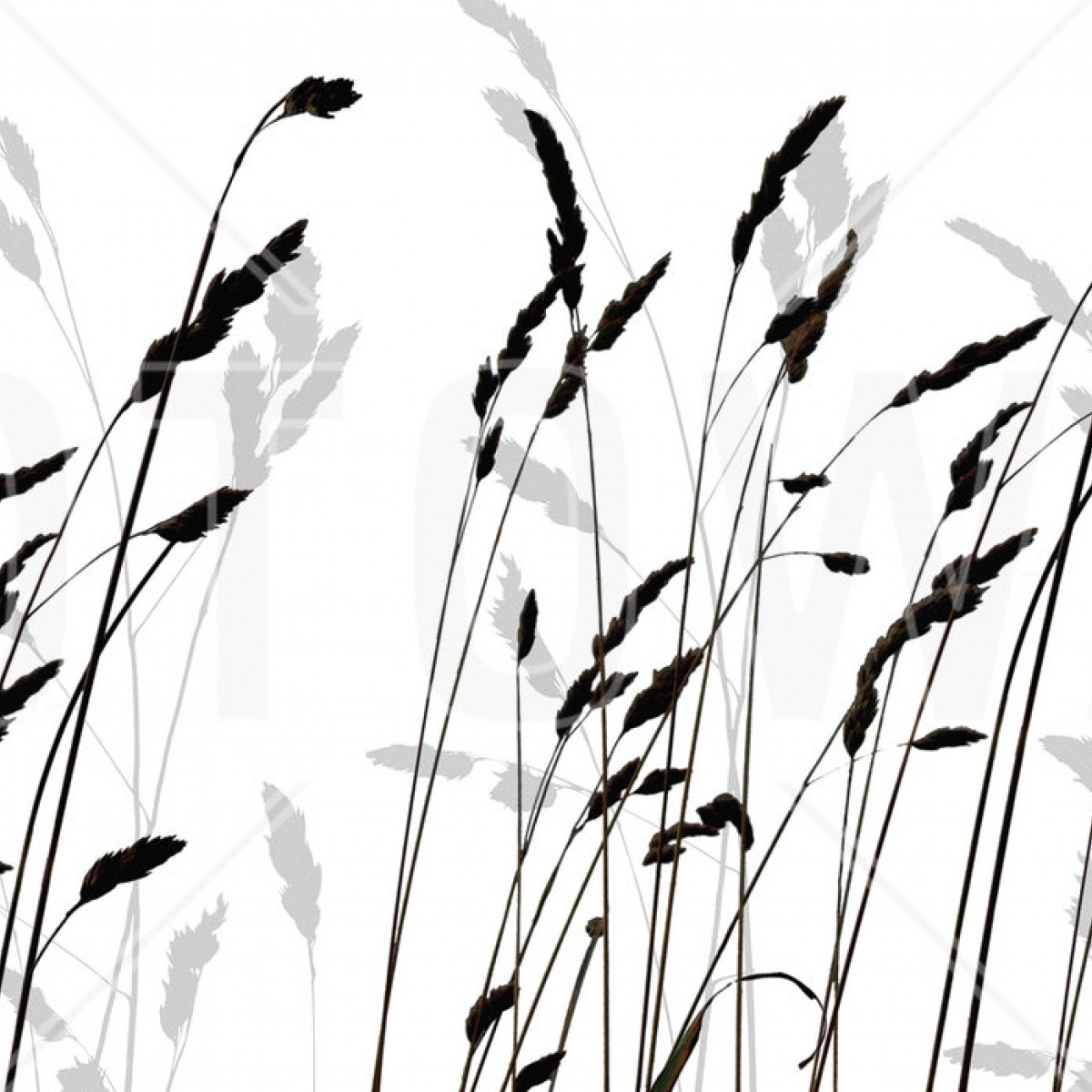 Fototapet Straw - Black, personalizat, Photowall