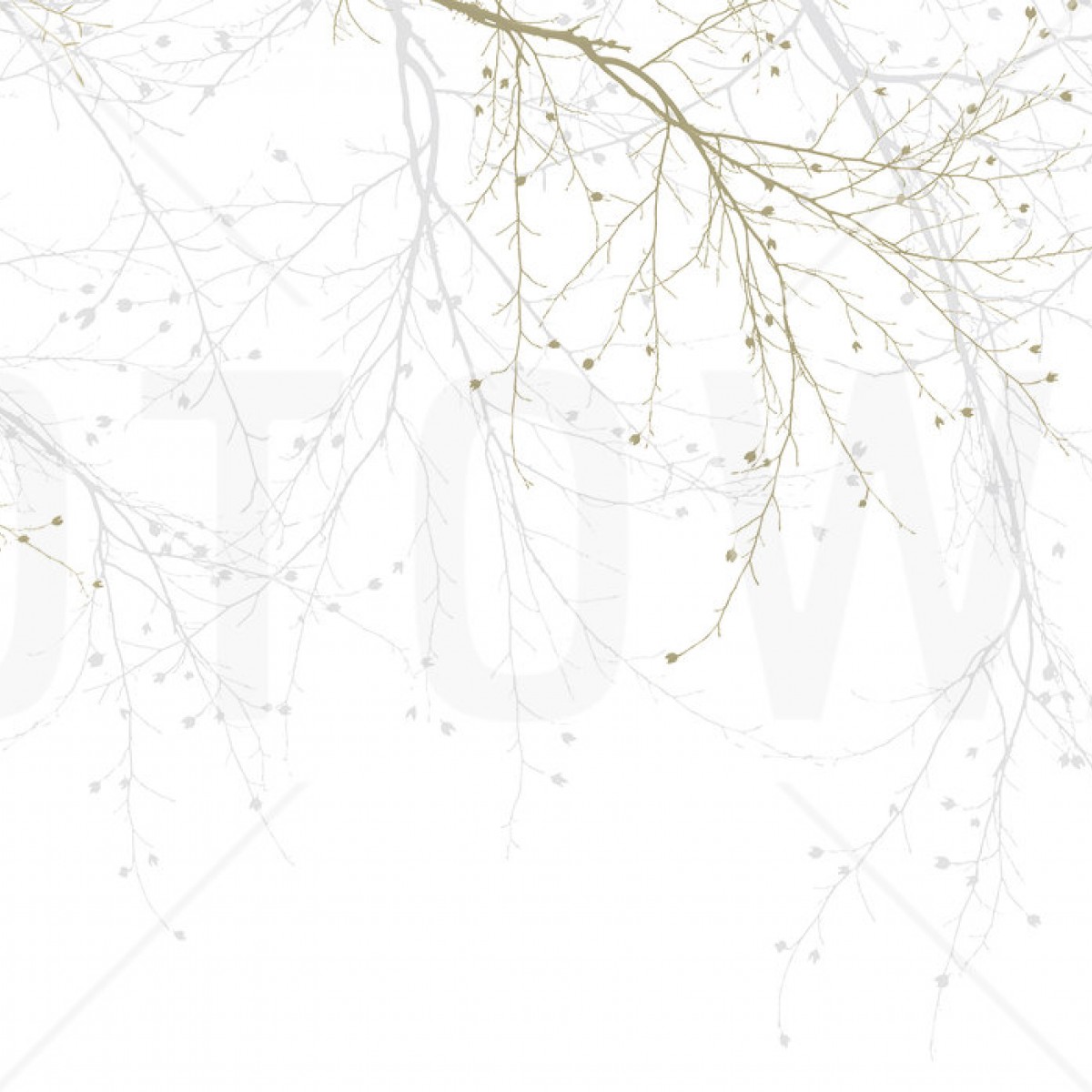 Fototapet Black Beech - Beige, personalizat, Photowall