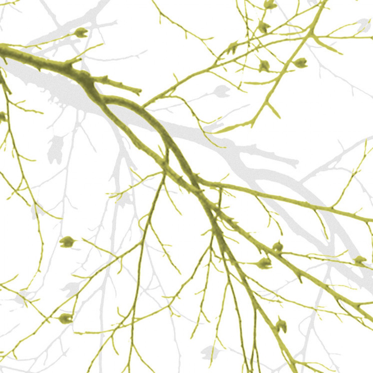 Fototapet Black Beech - Green, personalizat, Photowall