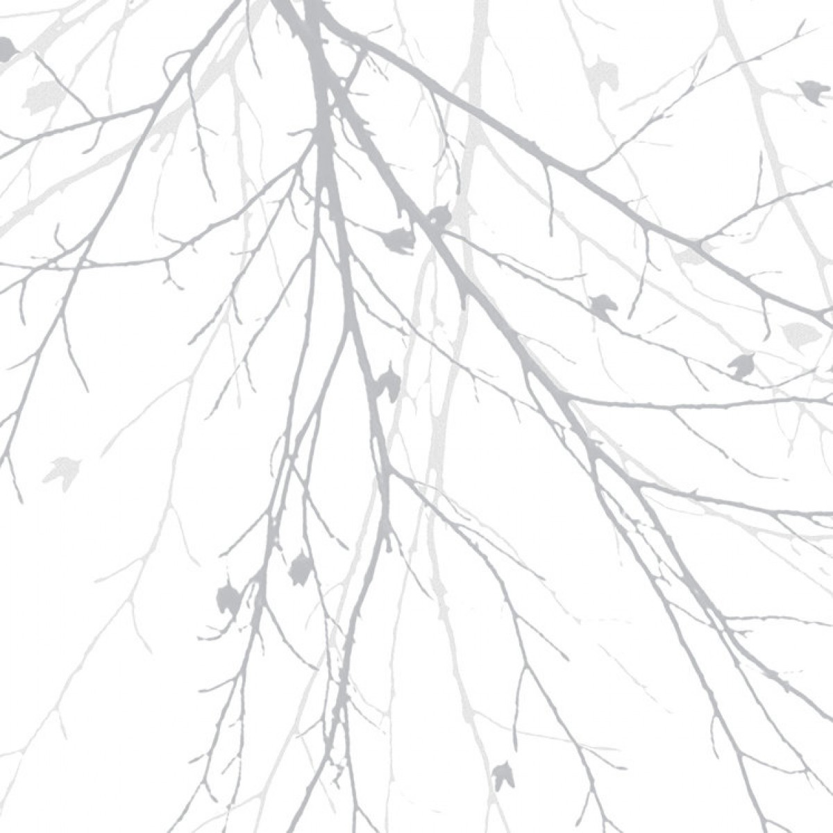 Fototapet Black Beech - Grey, personalizat, Photowall