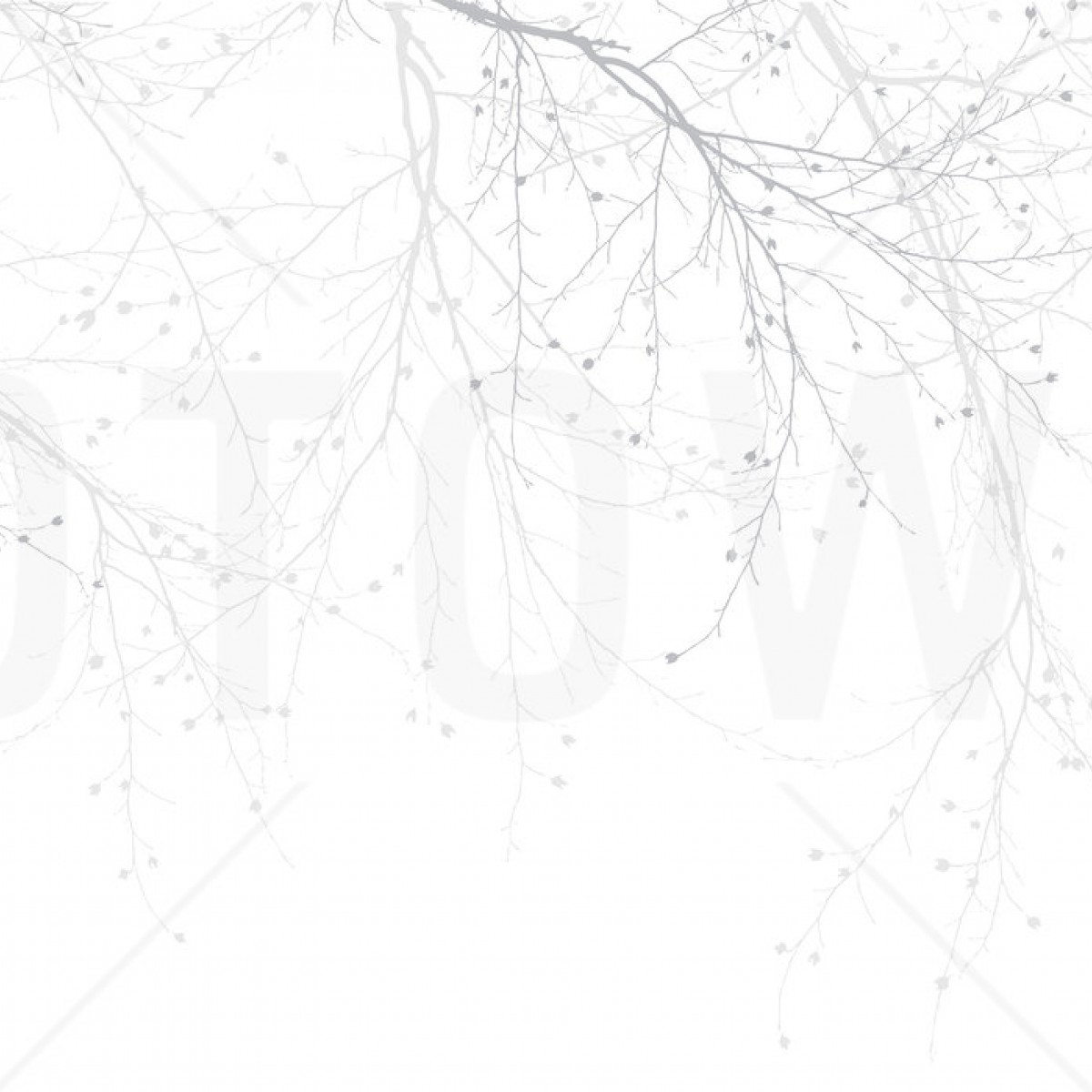 Fototapet Black Beech - Grey, personalizat, Photowall