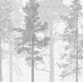 Foto tapet 3D Pădure, Gri, personalizat, Photowall