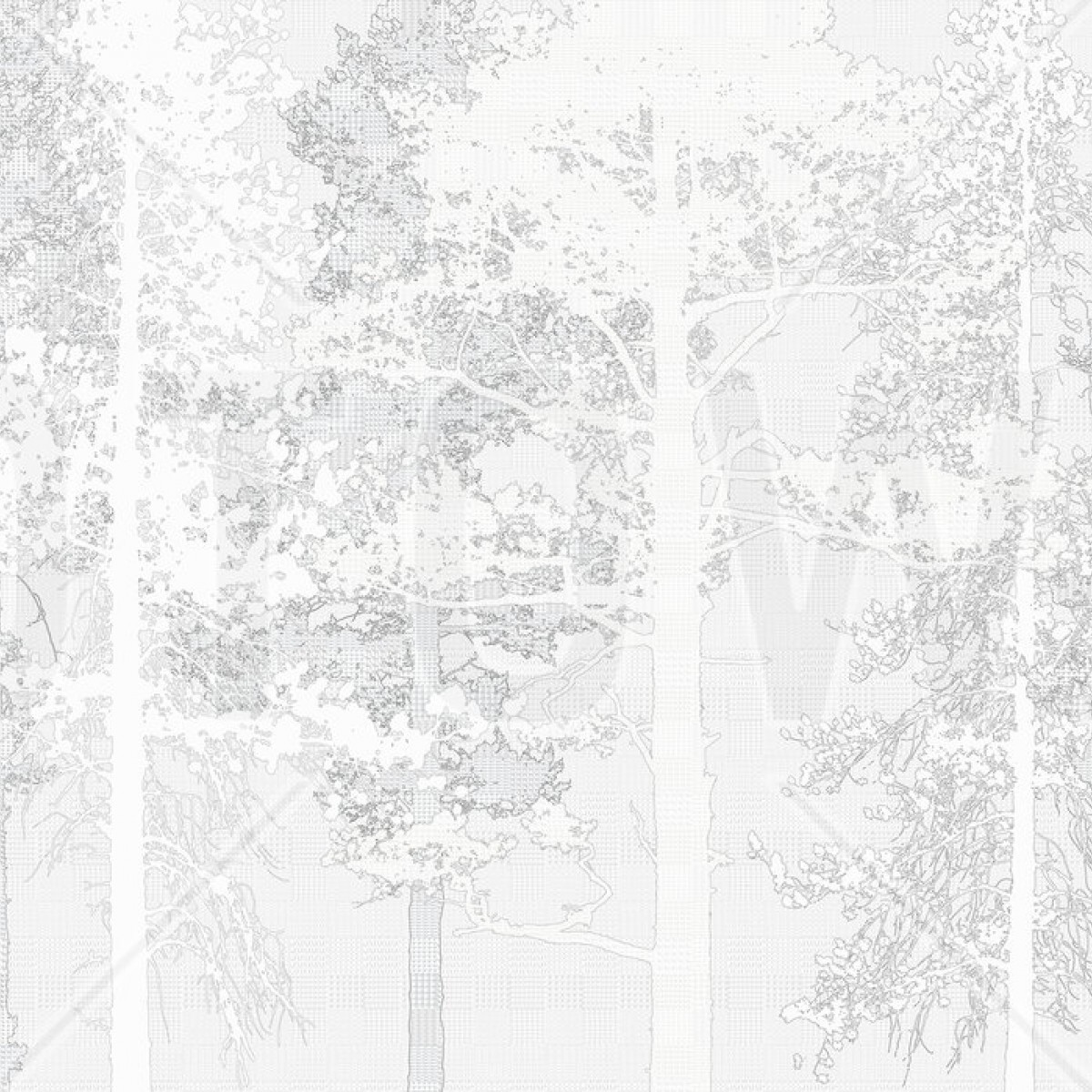 Foto tapet 3D Pădure, alb, personalizat, Photowall, National Geografic, Fototapet 