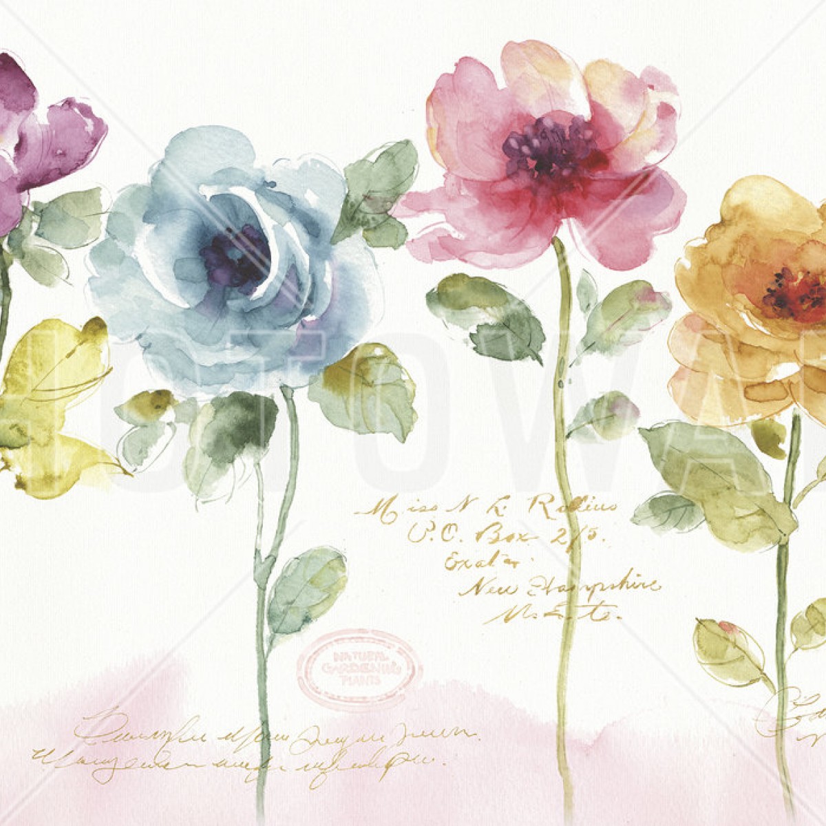 Fototapet Rainbow Seeds Floral, personalizat, Photowall, Fototapet