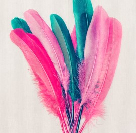 Fototapet Feather Bouquet, Personalizat, Photowall