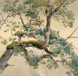 Fototapet Tree Branch Art, Charles Reginald Aston, Personalizat, Photowall
