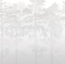 Fototapet Misty Pine Forest, Gri, Personalizat, Photowall