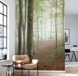 Fototapet Swedish Beech Forest I, Personalizat, Photowall