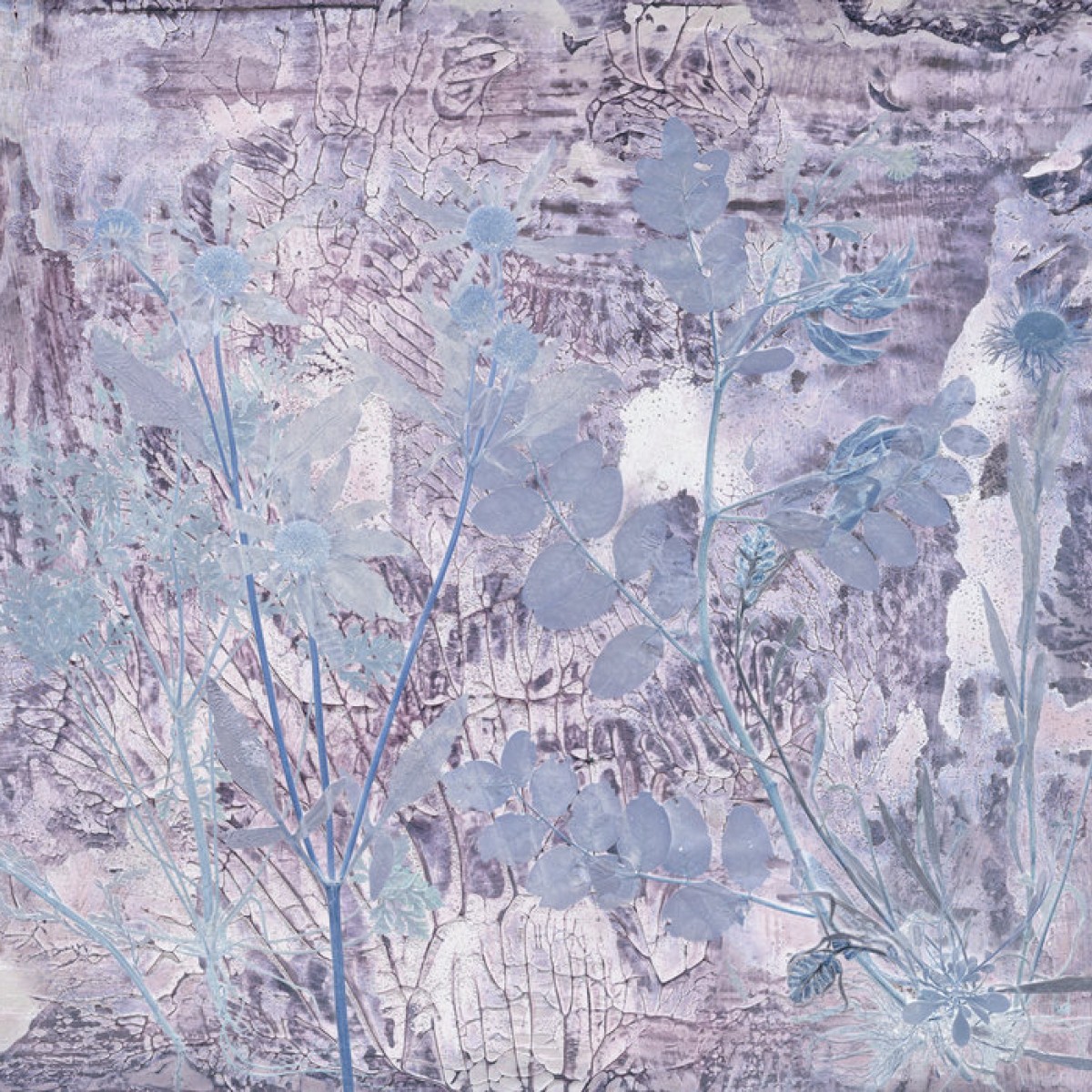 Fototapet Flora Hysterica 2, personalizat, Photowall