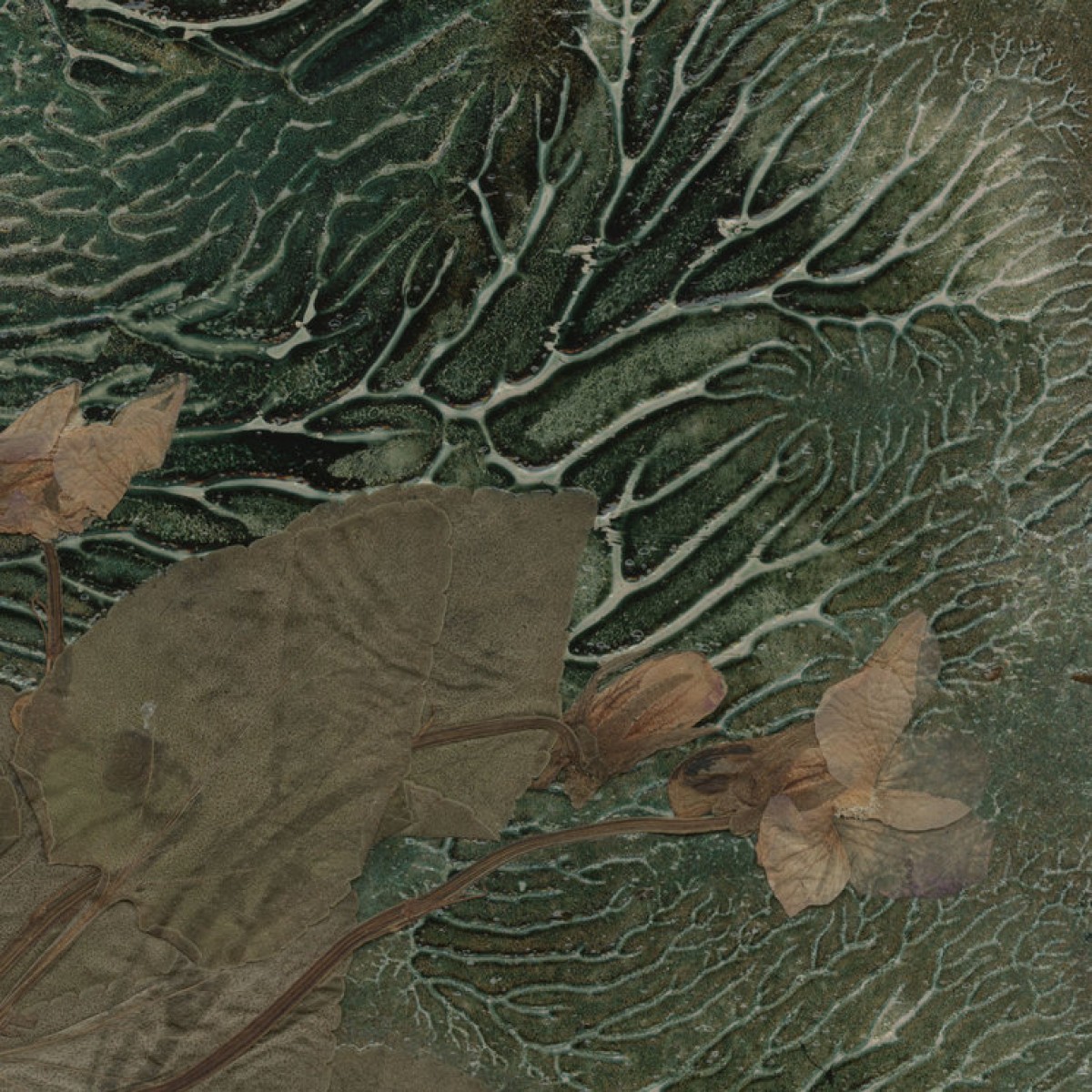 Fototapet Flora Hysterica 4, personalizat, Photowall