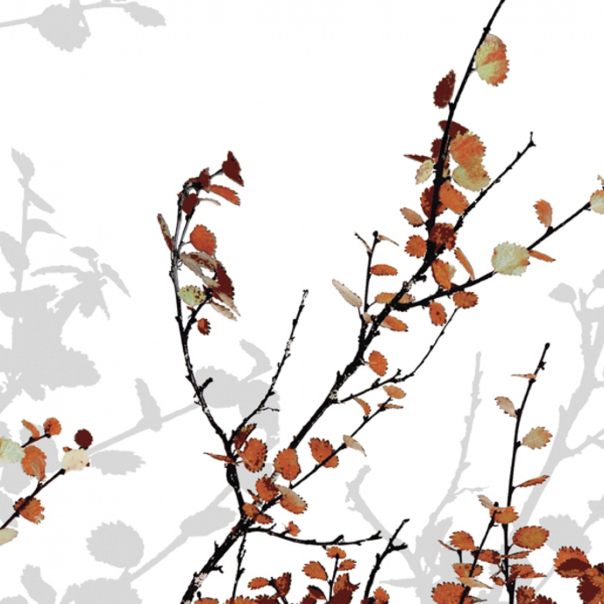Fototapet Mountain Birch Orange, personalizat, Photowall
