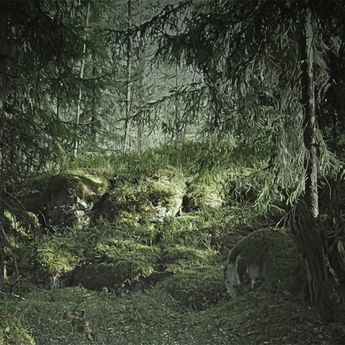 Fototapet Virgin Forest, personalizat, Rebel Walls