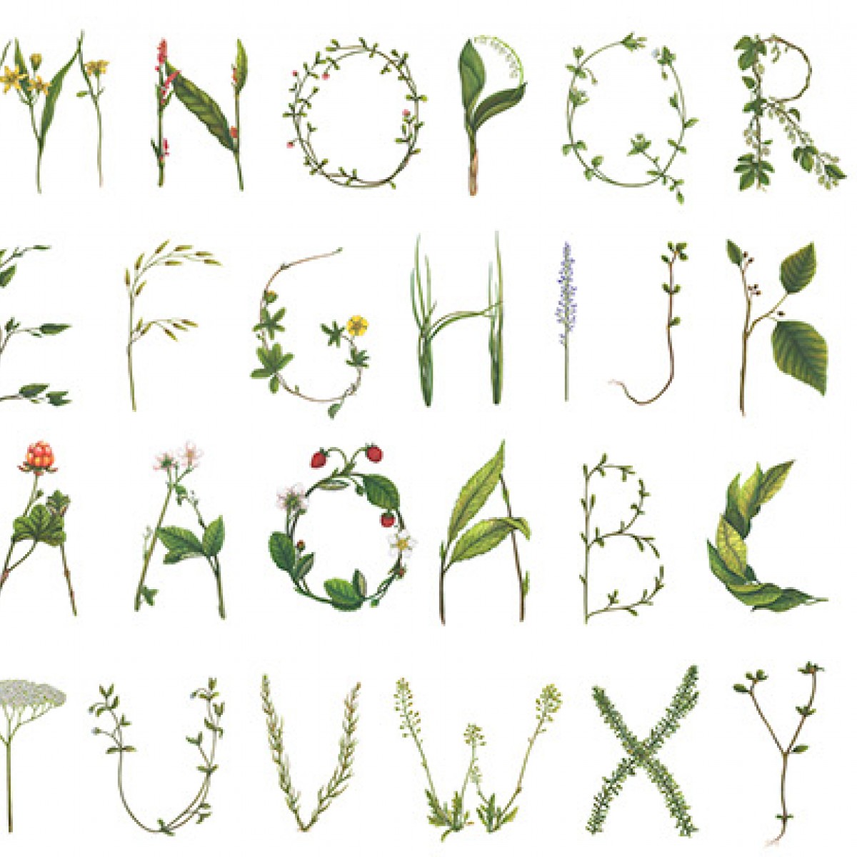 Fototapet Floral Alphabet, Fototapet pentru copii 