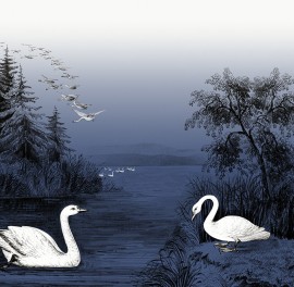 Fototape Swan Lake, Nightfall, personalizat, Rebel Walls