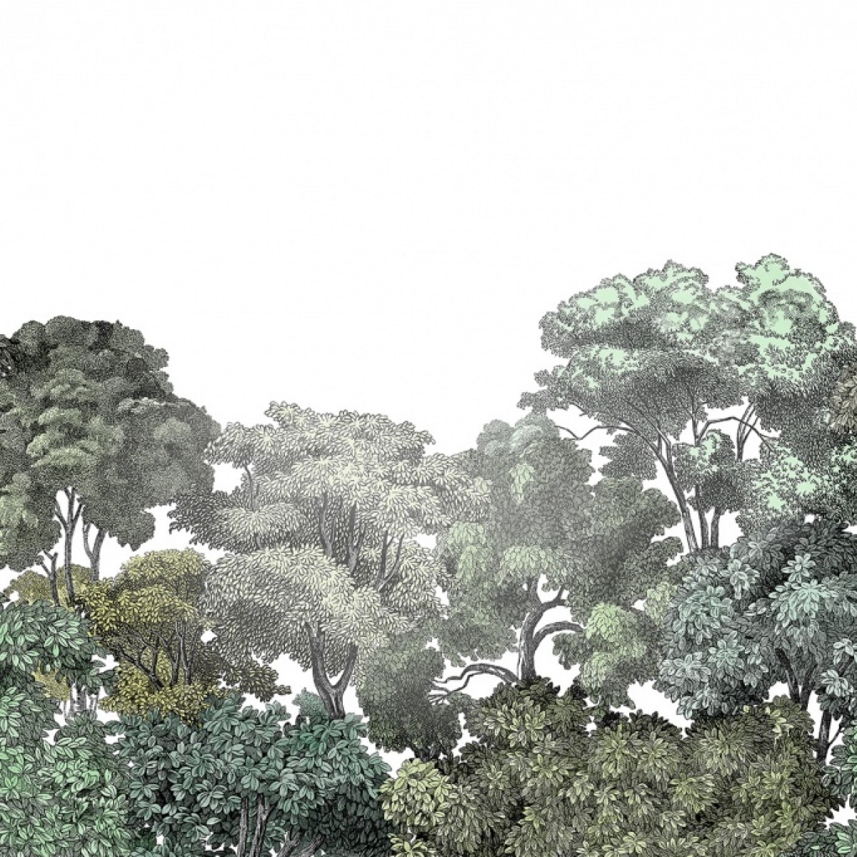 Foto tapet 3D Pădure, personalizat, Rebel Walls, Fototapet bucătărie 