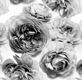 Foto tapet 3D Vânt de Vară, alb-negru, personalizat, Rebel Walls