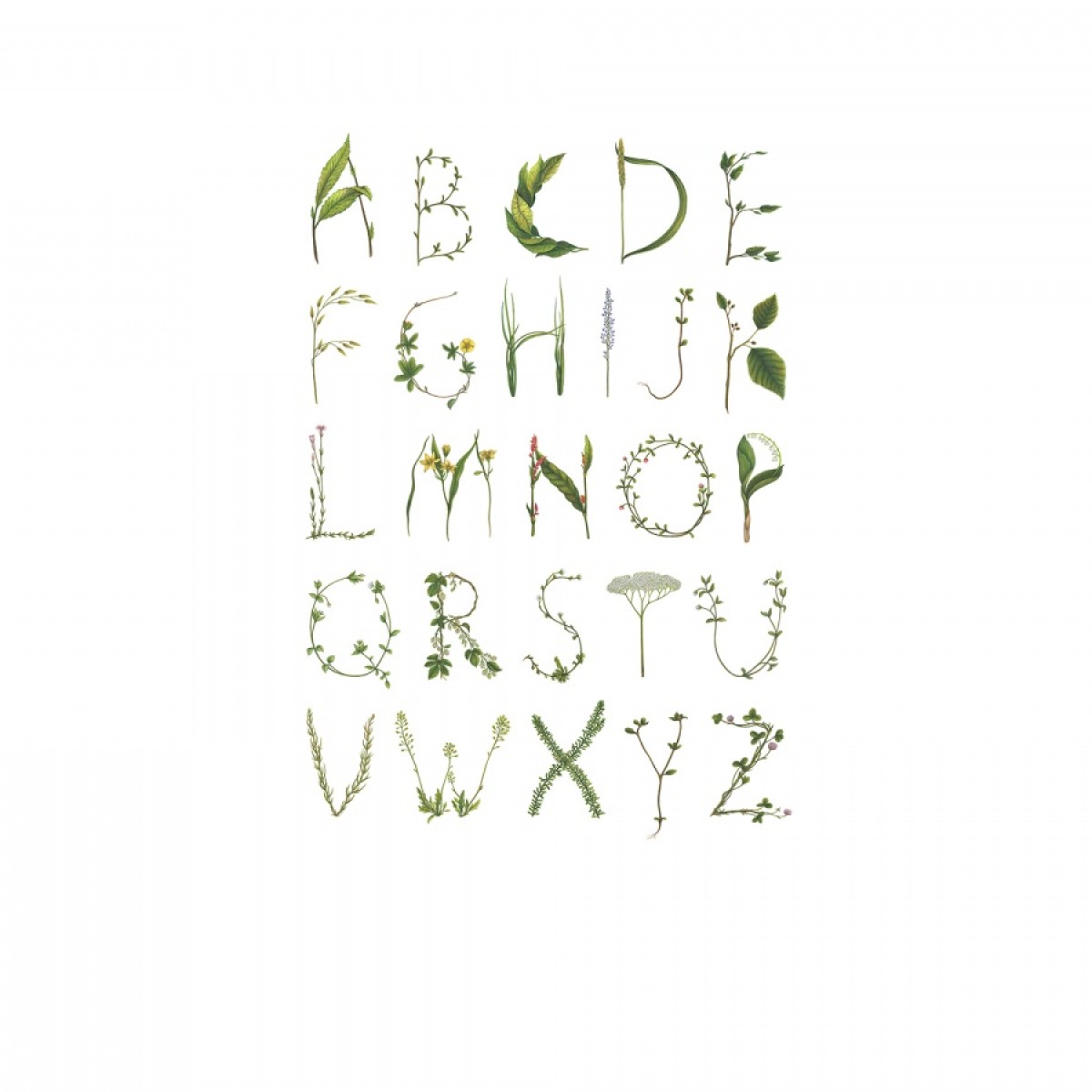 Fototapet ABC verde, personalizat, Rebel Walls