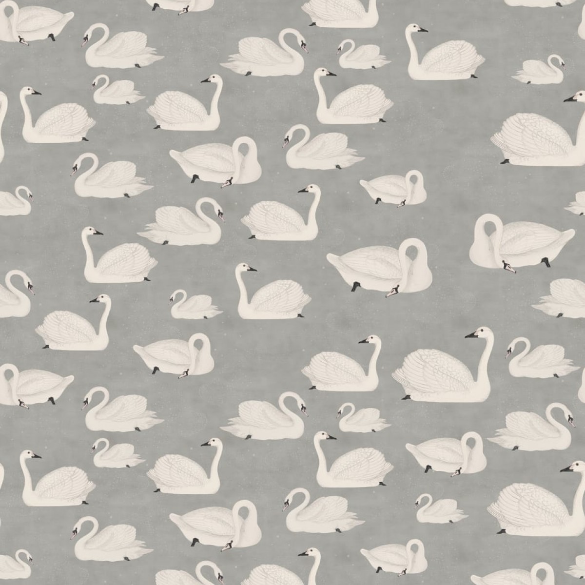 Foto tapet 3D Cygne, personalizat, Rebel Walls