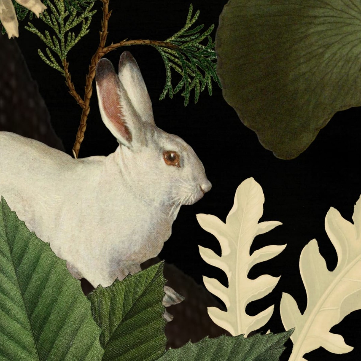 Foto tapet 3D Rabbit Hole, Moss, Oxygen, personalizat, Rebel Walls