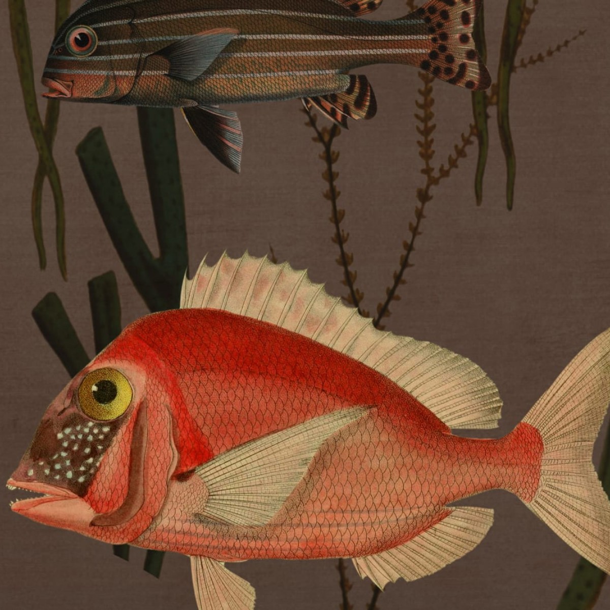 Foto tapet 3D Aquatic Life, Coral, personalizat, Rebel Walls