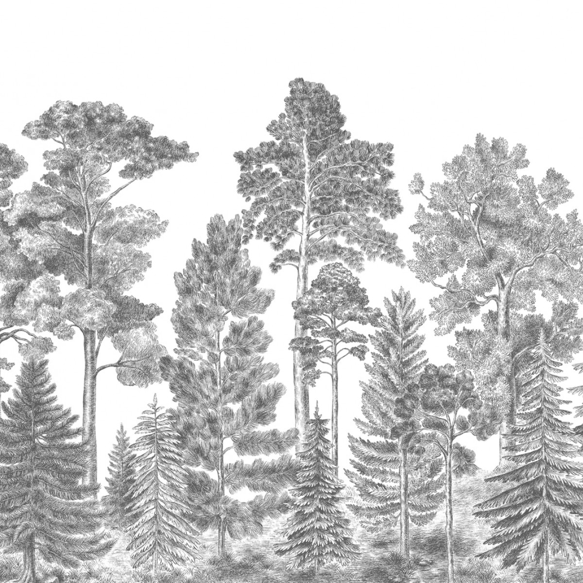 Foto tapet 3D Scandinavian Bellewood, Gray, personalizat, Rebel Walls