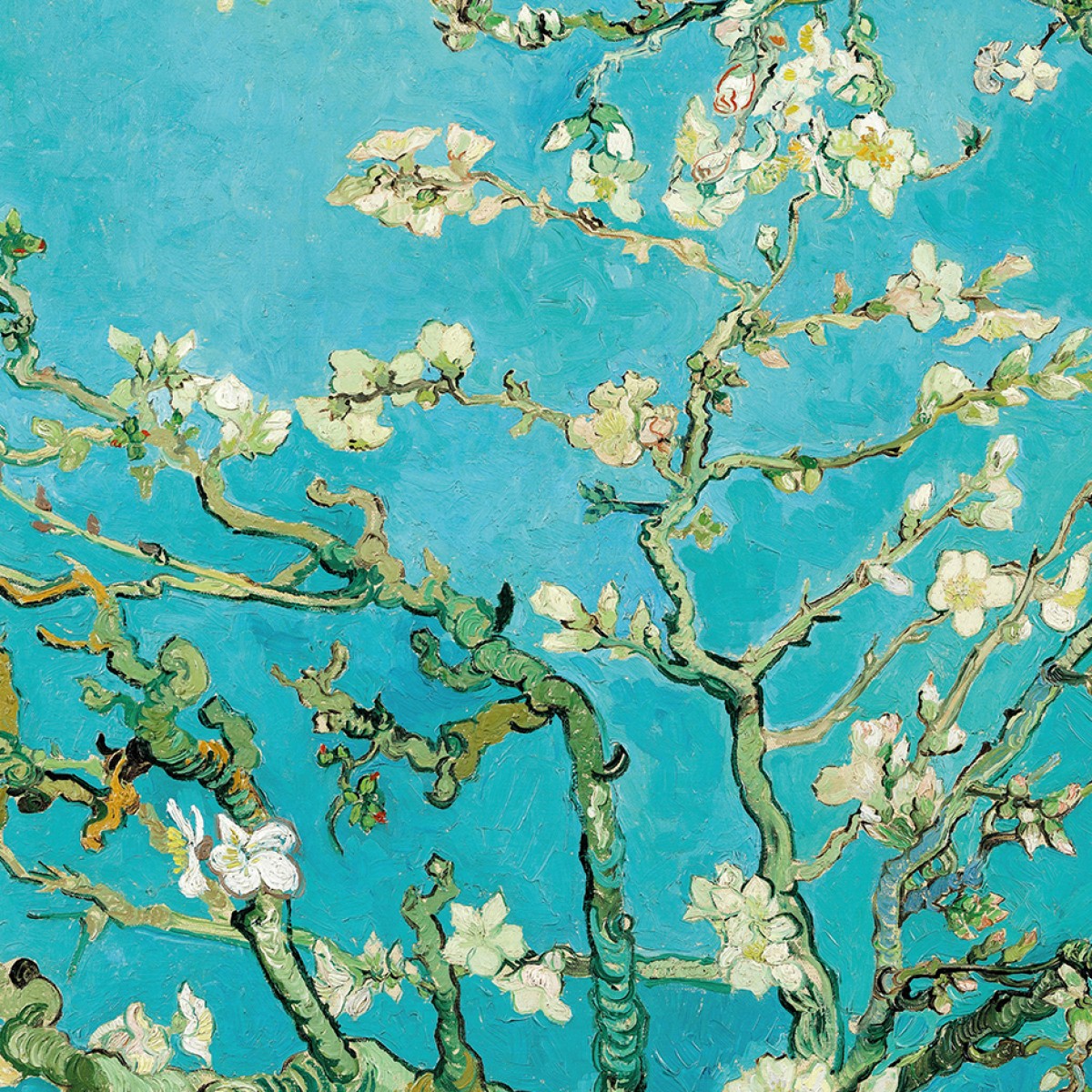 Fototapet rotund Almond Blossom, 142.5cm diametru, WallArt, Fototapet circular, Fototapet 